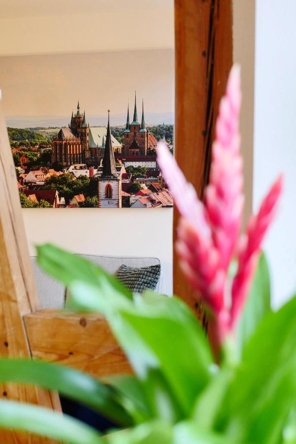 Altstadtjuwel Am Hospitalplatz - 3 Mit Balkon Апартаменты Эрфурт